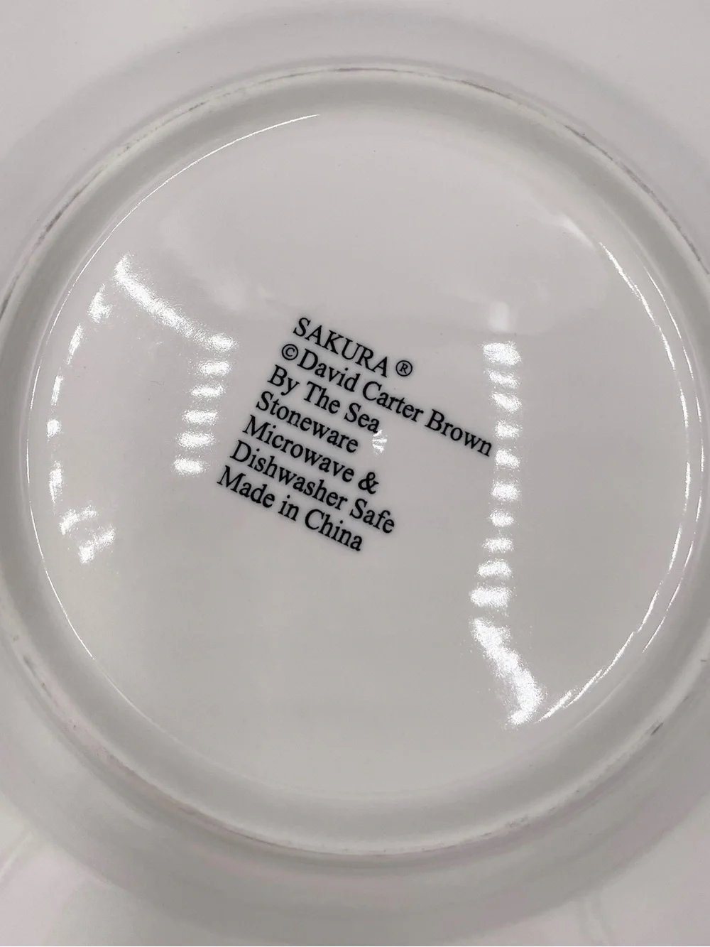 Sakura David Carter Brown By the Sea Stoneware Dinner Plate Mug Set of 8 Pieces
